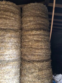 Predam psenicnu slamu
