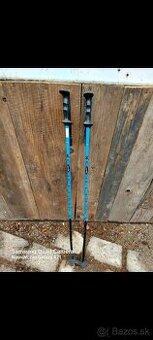 Palice lyziarske cca 100cm