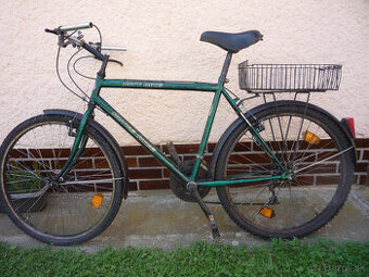 Pánsky bicykel ROYCE RYCE - 1