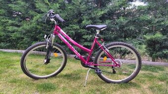 Kenzel prime DX80