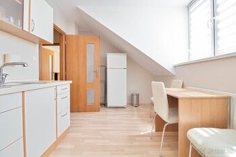 Veľký klimatizovaný apartmán s parkovaním - SLIAČ KÚPELE