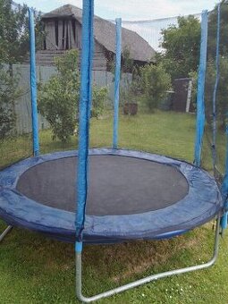 Trampolina 250cm