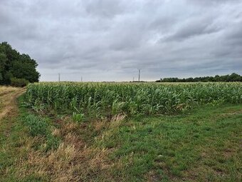 Výnimočná príležitosť-160 ha orná pôda, okr. R.Sobota