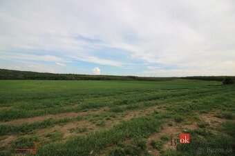 Na predaj pozemok na Vrábeľskej ulici, Nitra