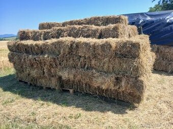 Predám malé balíky sena