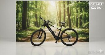 CTM WIRE GX 29 (model 2025)