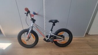 Specialized Riprock Coaster 16