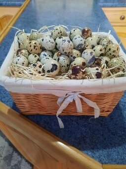 Predám prepeličie vajíčka