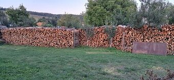 Palivové drevo metrovica