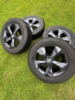 5x112/R17 - sada diskov s prémiovými zimnými pneu Dunlop