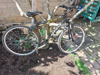 Bicykel Alpina Eco C10