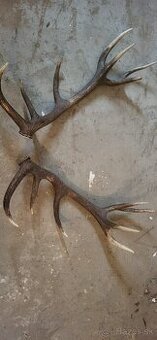 Jelenia parka.14 torak.zhody.parohy