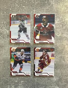 Hokejové kartičky TIPOS EXTRALIGA mix