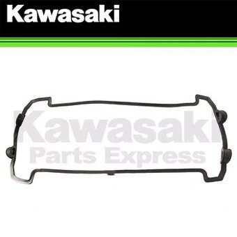 Kawasaki