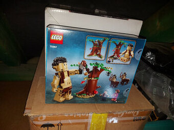 LEGO Harry Potter 75967 Zakázaný les