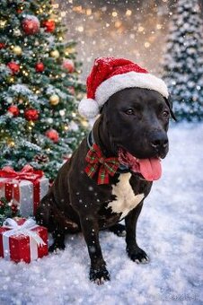 Darujem s ťažkým srdiečkom