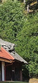 Darujem drevo za odvoz