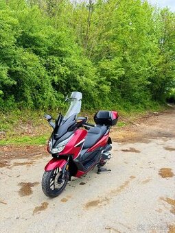 Honda Forza 350 so Smart kufrom - TOP stav