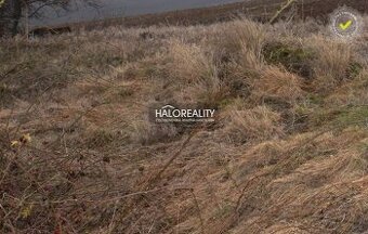 HALO reality - Predaj, pozemok pre rodinný dom 887 m2 Tepl