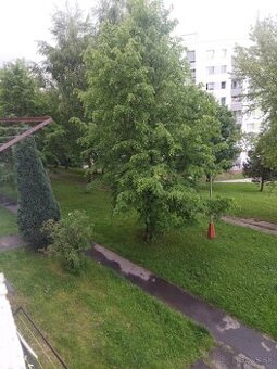 Predaj 3 izb. bytu v Čadci