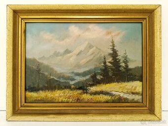 Obraz Vítězslav Fleissig, Vysoké Tatry, olej 31x42