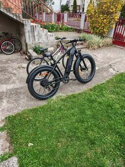 Elektrobicykel Dyu king 750