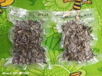 Lievik trúbkovitý (Craterellus cornucopioides) sušený