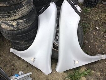 Fabia blatniky maju skrabance ako na fotke