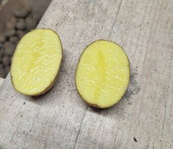 Sadbové zemiaky POCAHONTAS