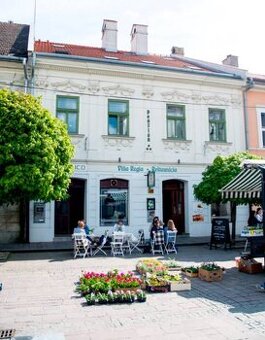 POMOCNÁ SILA  DO KUCHYNE (víkendy)