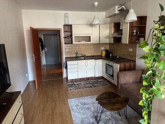 Prenajmem 1 izb. byt s loggiou neďaleko centra