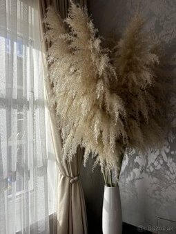 Rezaný biely pampas -dekorácia