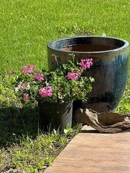 krásny pozemok, 12min.od Bratislavy