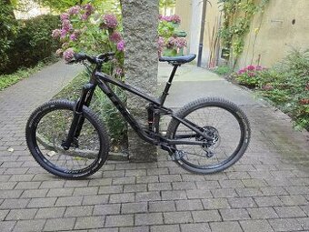 Trek Remedy 8 - 2019