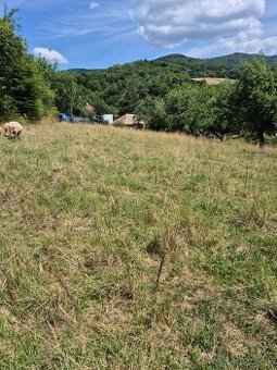 Predaj pozemku s domom v Kokave nad Rim.