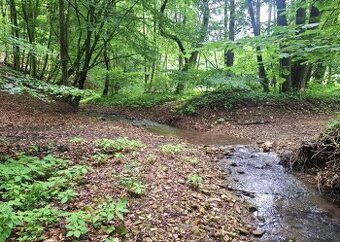 Predám pozemok v Antonstáli