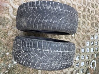 225/50 R17 2ks zimne