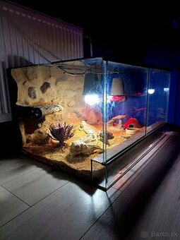 Predám/vymením terárium s 3D stenou + komplet výbava