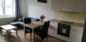 Prenájom 1,5 izbového bytu (nova rekonstrukcia)