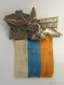 Odznak Sokol 01