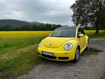 VW New Beetle 2008