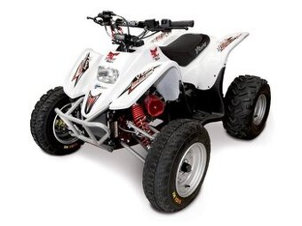 Access DRR 100 Race