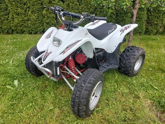 Access DRR 100 Race