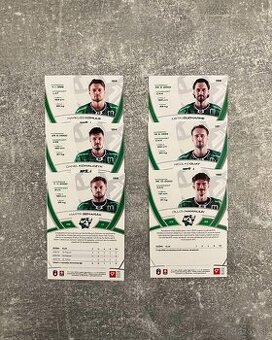 Hokejové kartičky TIPOS EXTRALIGA 2024/2025 base