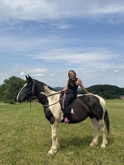 Kobylka do Rodiny hledá super Parťáka - 1