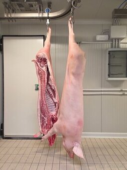 Jatočné ošípané