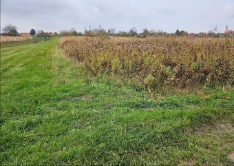 Investičný pozemok v meste Stupava