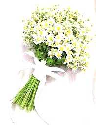 Zdraví je v hlavě, ne v lékárně - zachovalá