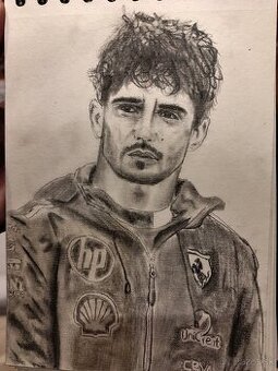 Kreslím portréty ľudí a zvierat podľa fotky.