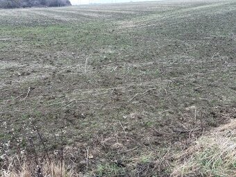 Holíč pod Hrebeňom, Lokalita Konopiská